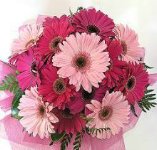 Bouquet di Gerbere rosa